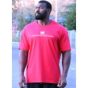 CAMISETA OVERSIZE BLUE WHITE THE KING DE MR GYM Fitnessstore